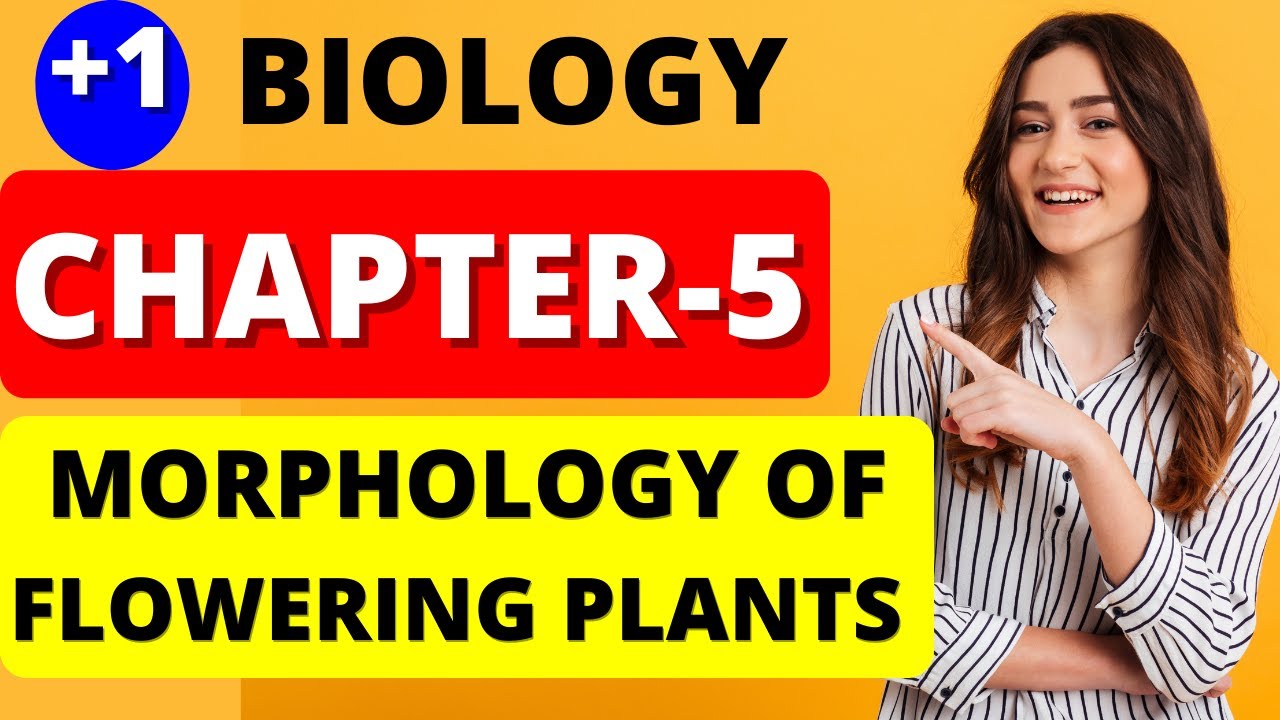 MORPHOLOGY OF FLOWERING PLANTS INTRODUCTION PART-1 PLUS ONE BIOLOGY CHAPTER-5 MALAYALATHIL NCERT