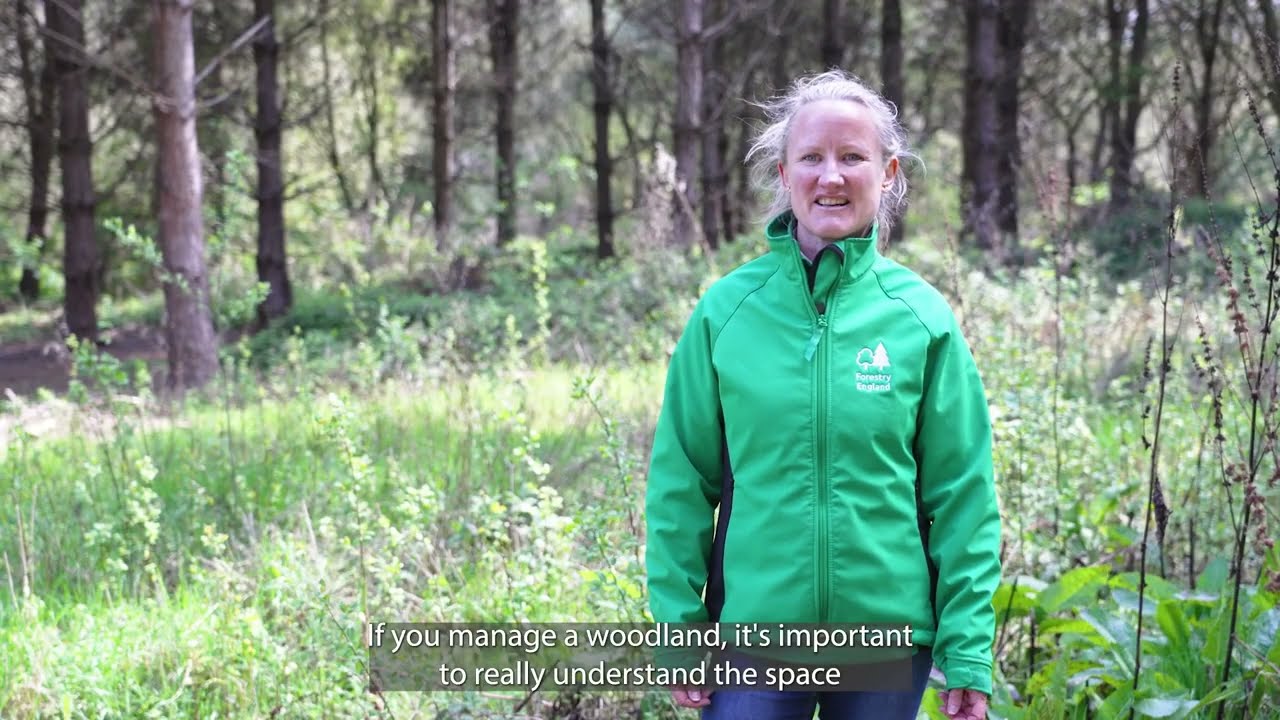 Woodland Ecosystems and Forest Education
