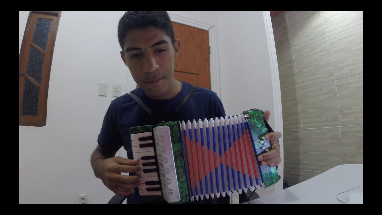 Acordeon Child Prodigy - Review