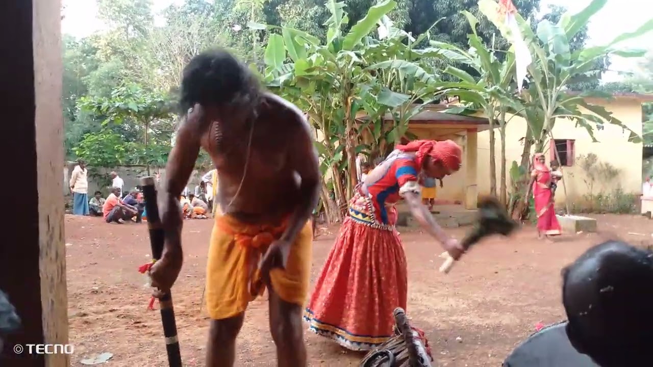  Garam chote aamabal Hamare bastar ke deo dami ki log ka dhansh 