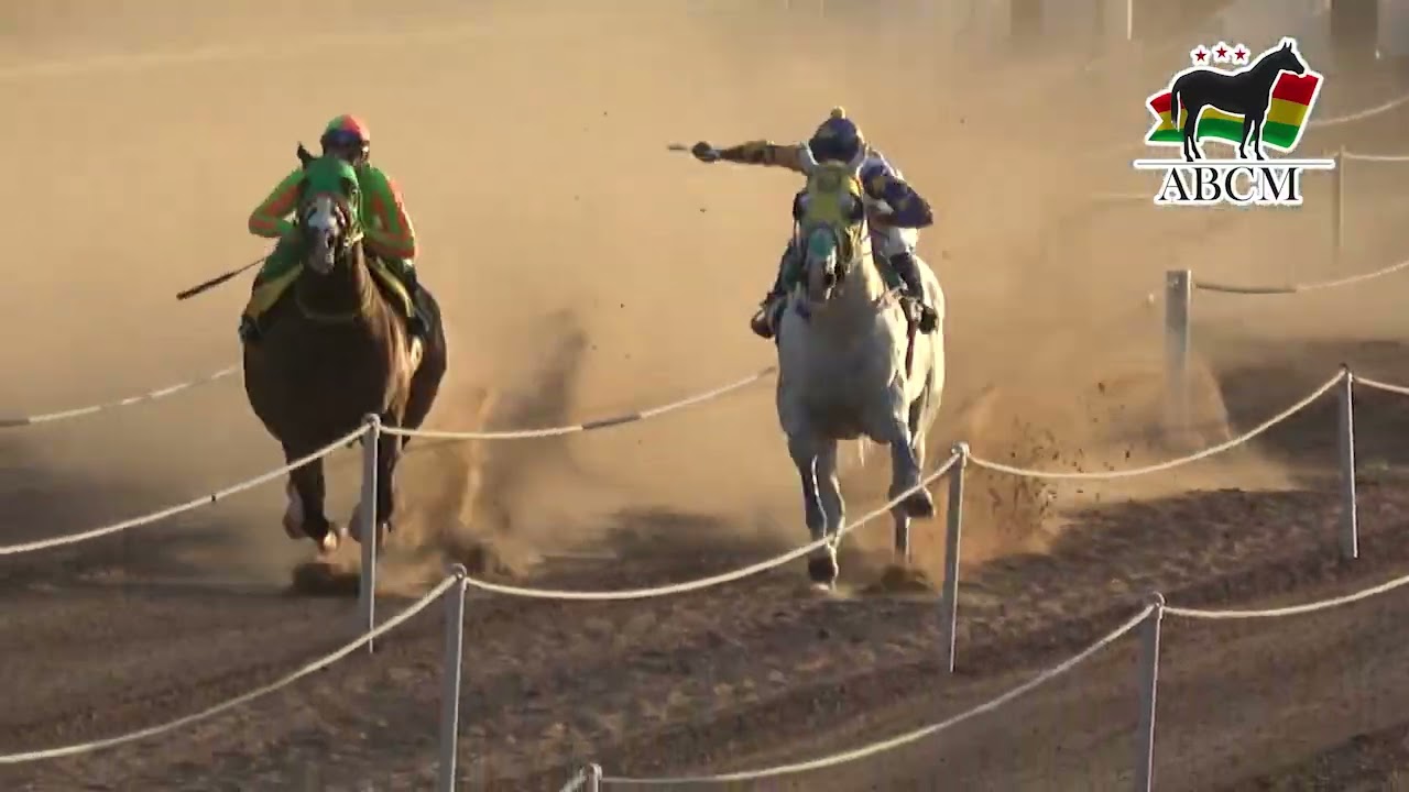 1ER DERBY ABCM SANTA CRUZ DE LA SIERRAFINAL 301 METROS 1.JAYA GRANITE 2.FANATIC GRANITE
