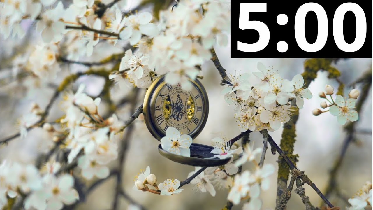 5 Minute Timer with Classical Music | Relaxing | Focus | Piano Instrumental