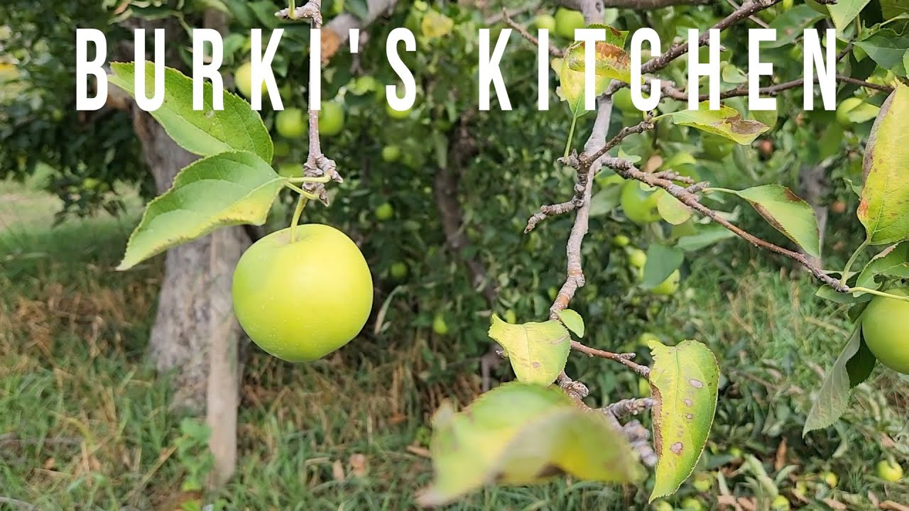 A Trip to the Apple Farm in Brampton, Ontario, Canada