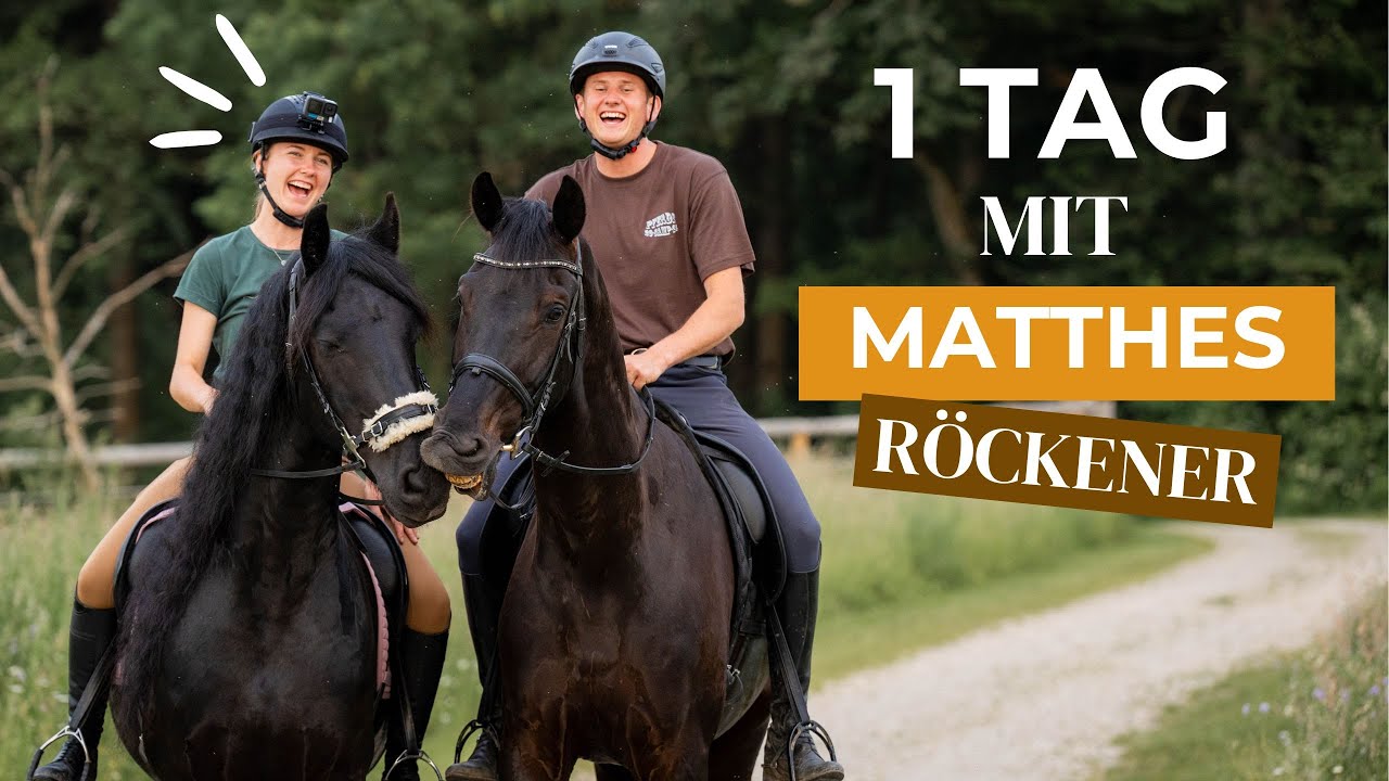 @Matthes Röckener x Pilsali 🐴 Wilde Kutschfahrt & Showprobe