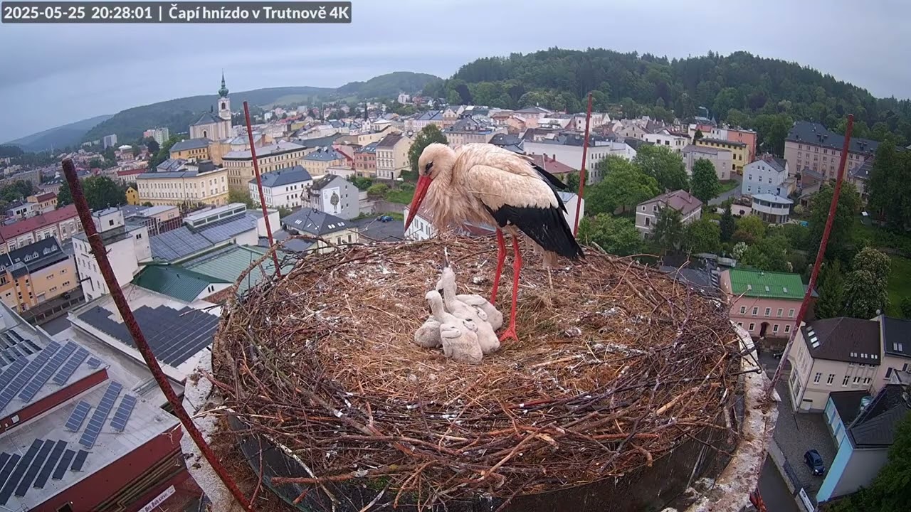 Malíček odešel za duhový most 25.5.25