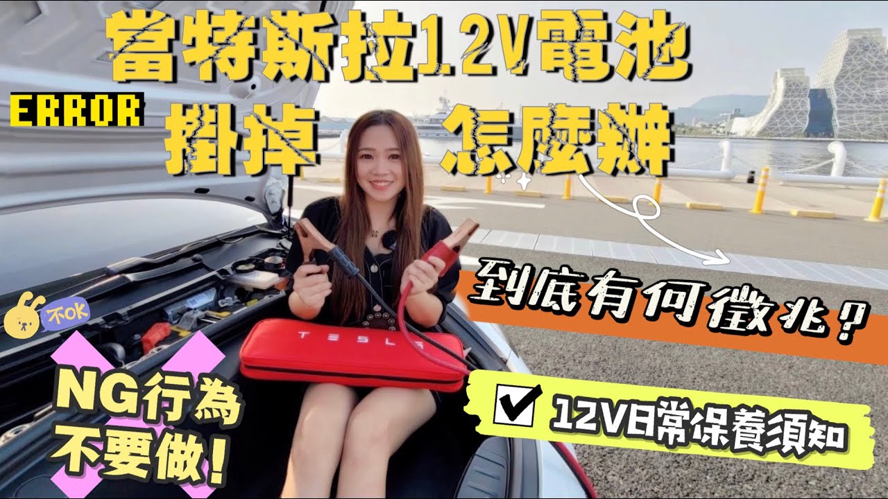 Tesla 12V 小電池壞了？！｜如何拯救磚頭Model 3｜特斯拉12V電瓶不為人知的秘密｜Echo推薦碼91220【Echo’s Ev Life 】