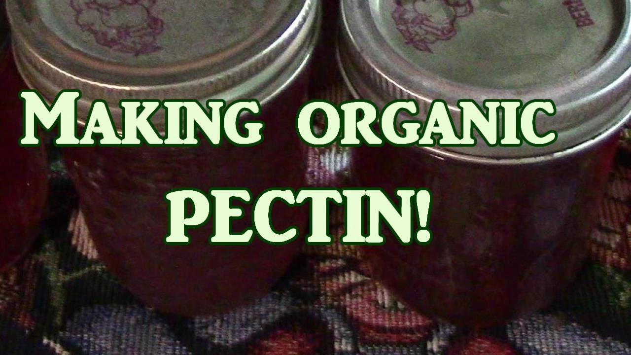 Making Organic Pectin