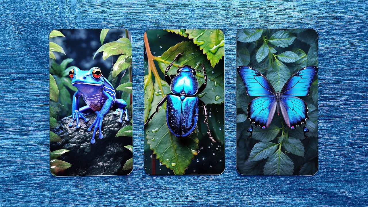 ¿Quién está hablando de ti? 🫢 ¿Y qué esta diciendo? 🫣💥 💜 Tarot interactivo 💜