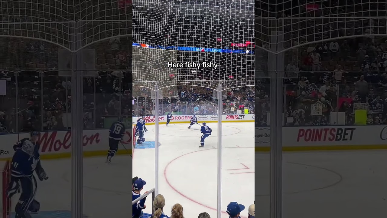 Boy aquarium. Maybe they&rsquo;ll even tap on the glass #mapleleafs