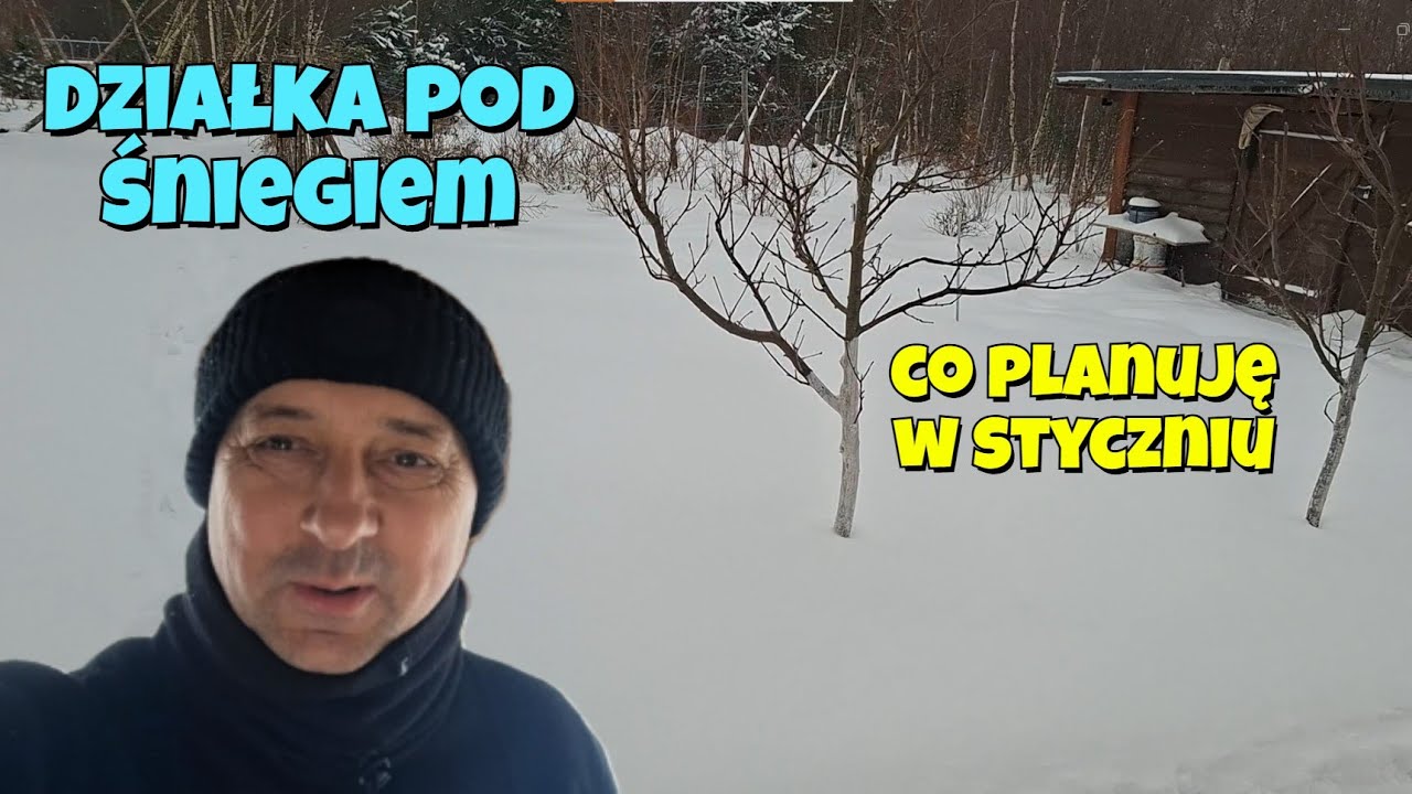 Styczeń na działce - planowanie i morsowanie. Na co wykorzystam długie wieczory w zimie