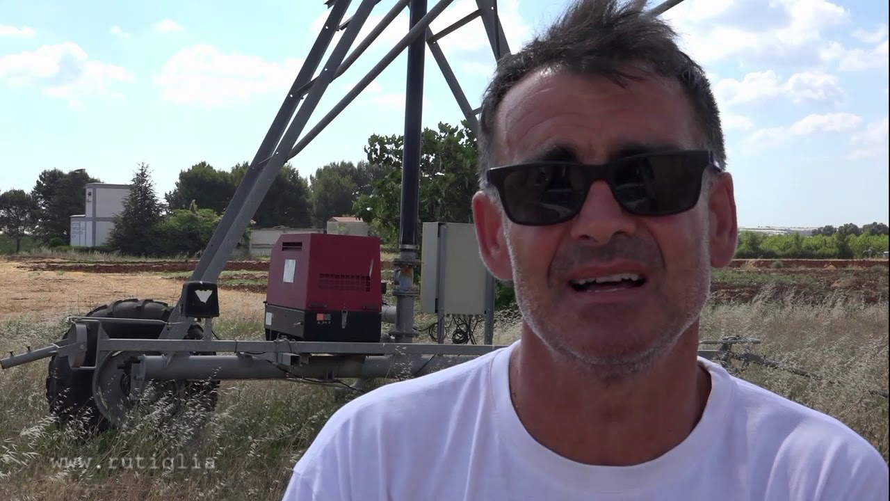 grano buono mietitura intervista movie
