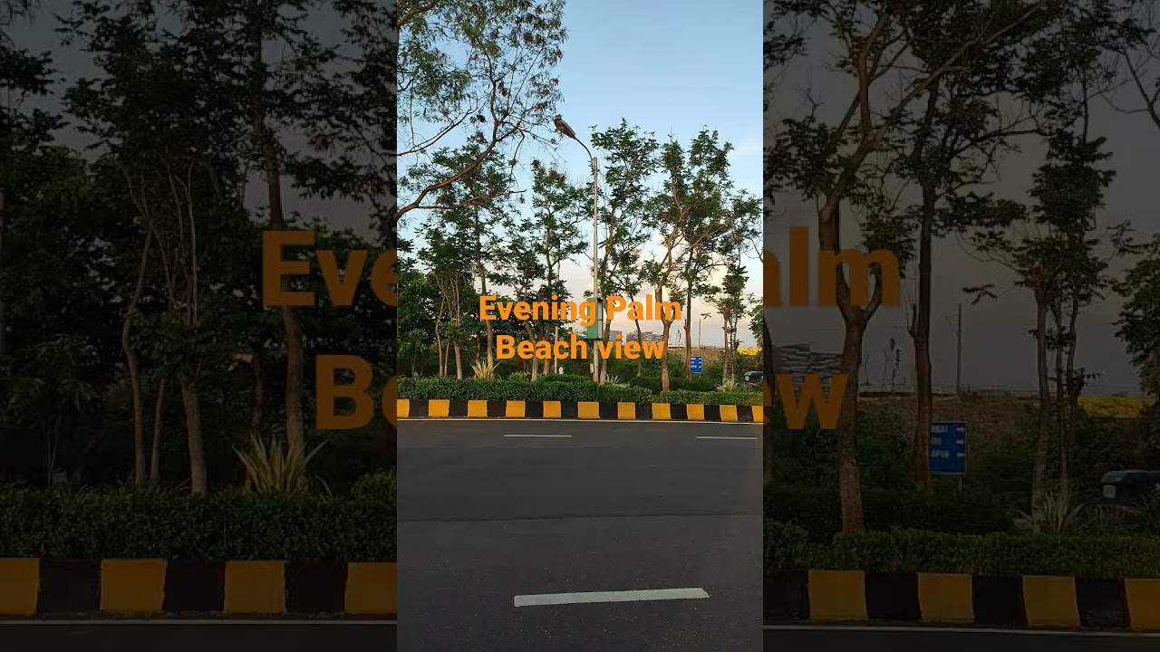 Palm Beach Evening View #Shorts #youtubeshorts #palmbeach #eveningview #navimumbai