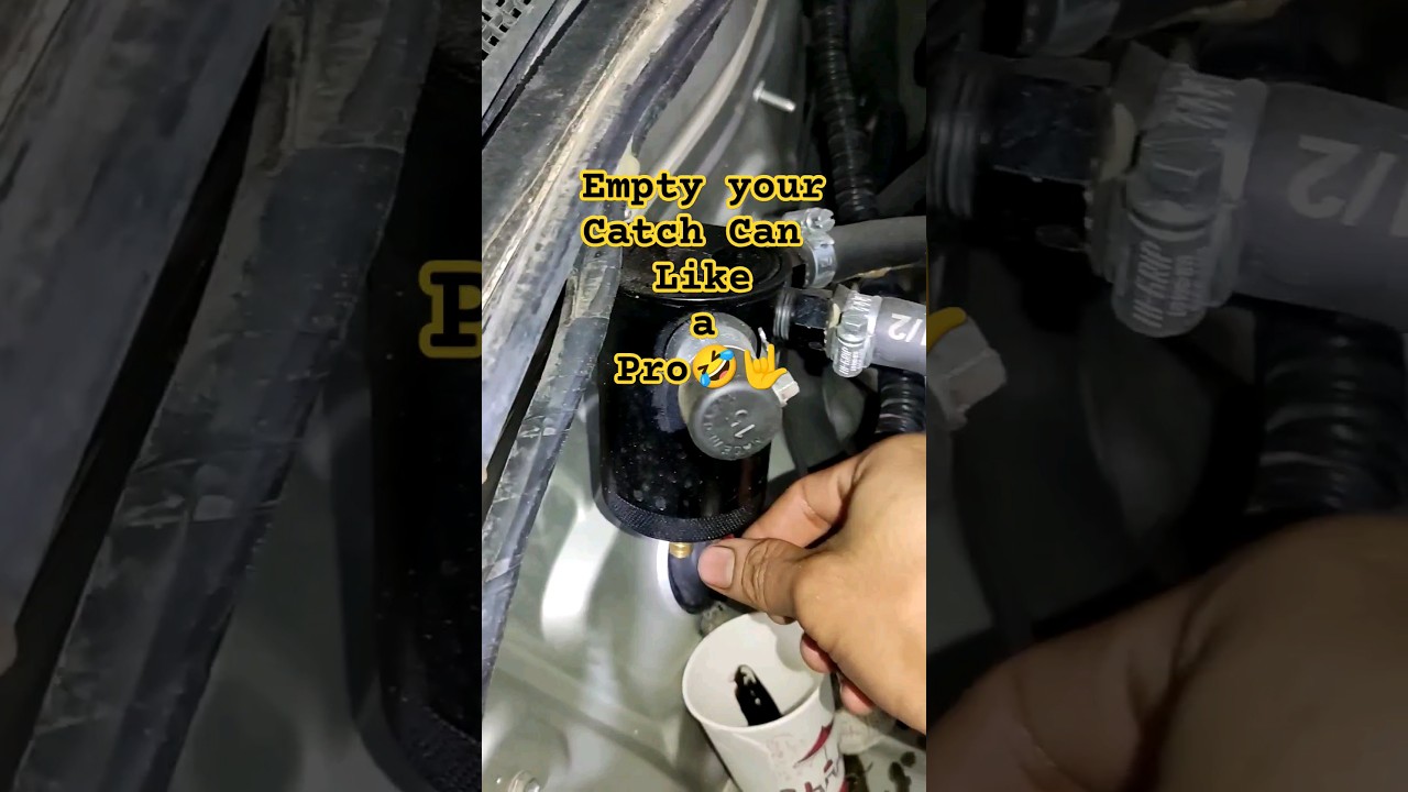 Does Oil catch can really works? 