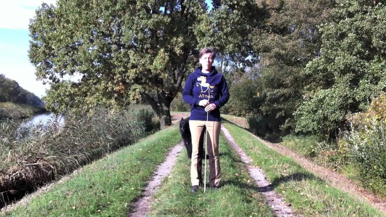 Stephanie Hornung - Seitengänge mit Kopfantennen reiten