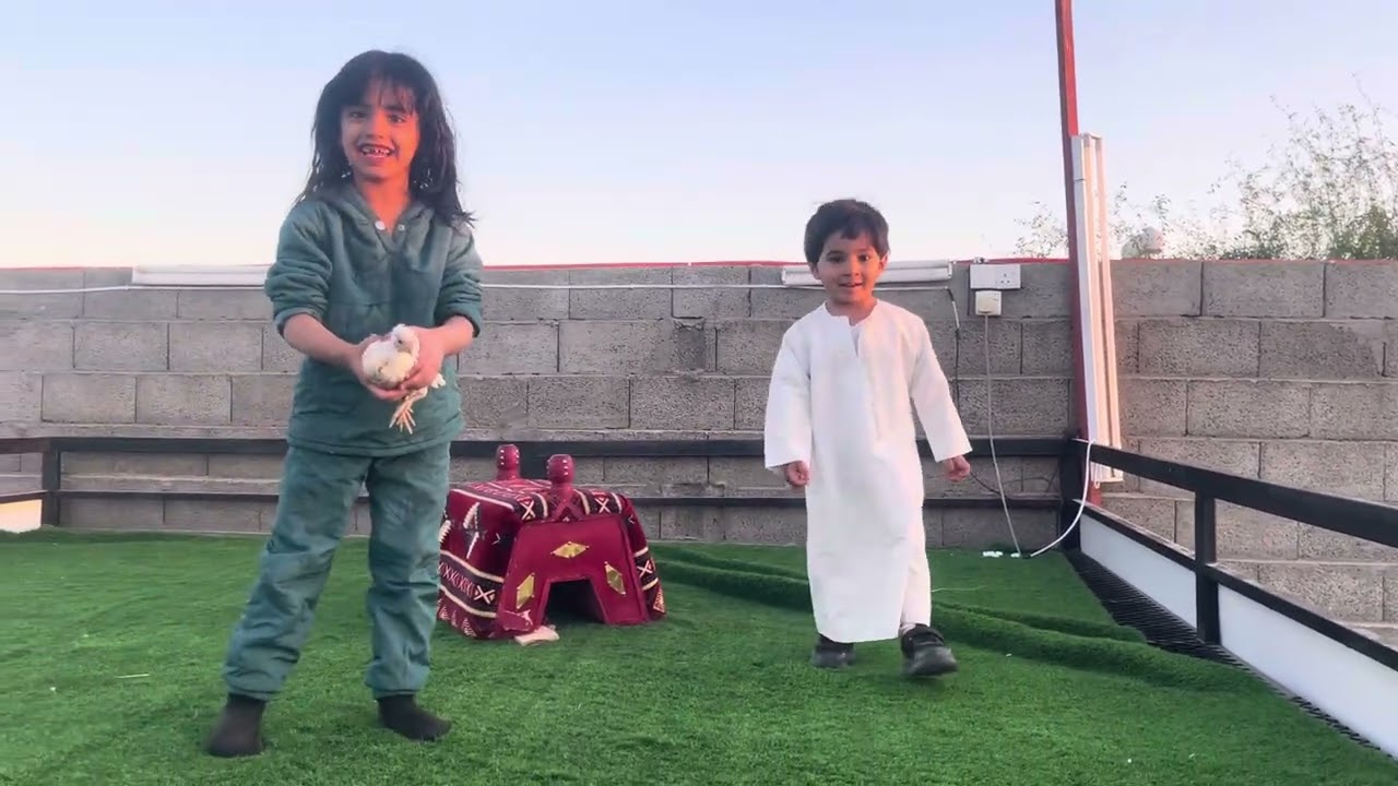 خالد بين دجاج المزرعة 😅🤣