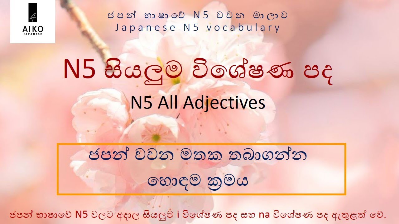 Japanese N5 all ''I'' and ''Na'' adjectives vocabulary | In Sinhala | N5 'ඉ' විශේෂණ සහ 'න' විශේෂණ පද