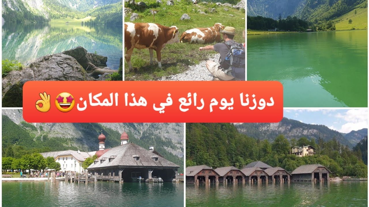إسم المكان ✍ لي عجبكم🤩👌/ثمن تذكرة الجولة بالباخرة / هنا يباع أحسن حليب و لبن في 🇩🇪😍 👍