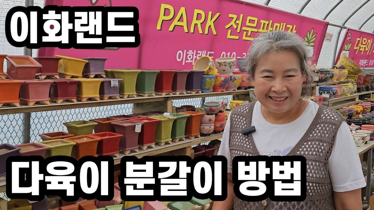 이화랜드 초보 다육이 분갈이 방법에 대해서 알아봤어요