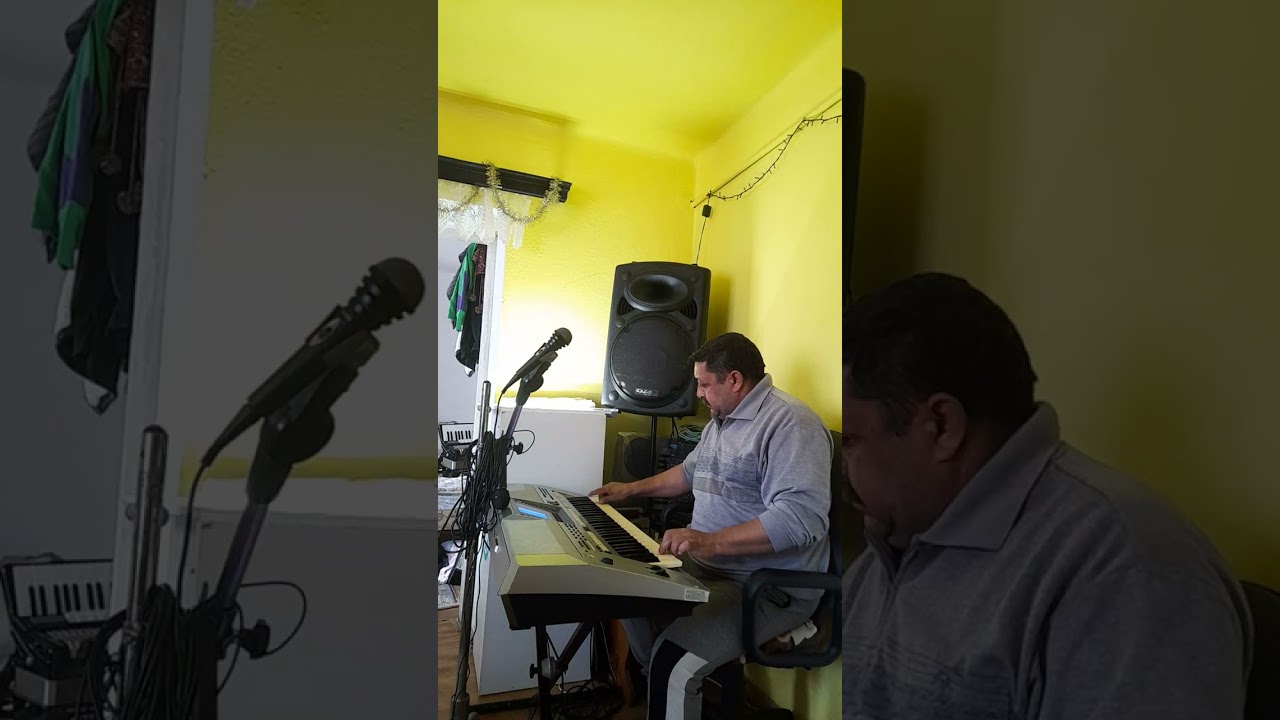 banat instrumental orgă