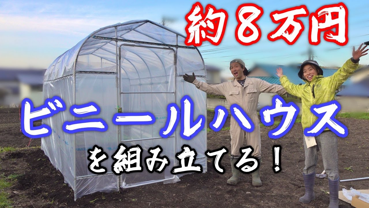 育苗用に約８万円のビニールハウスを組み立てたら、夫婦ゲンカが勃発した　鬼嫁とボクの田舎暮らし　家庭菜園