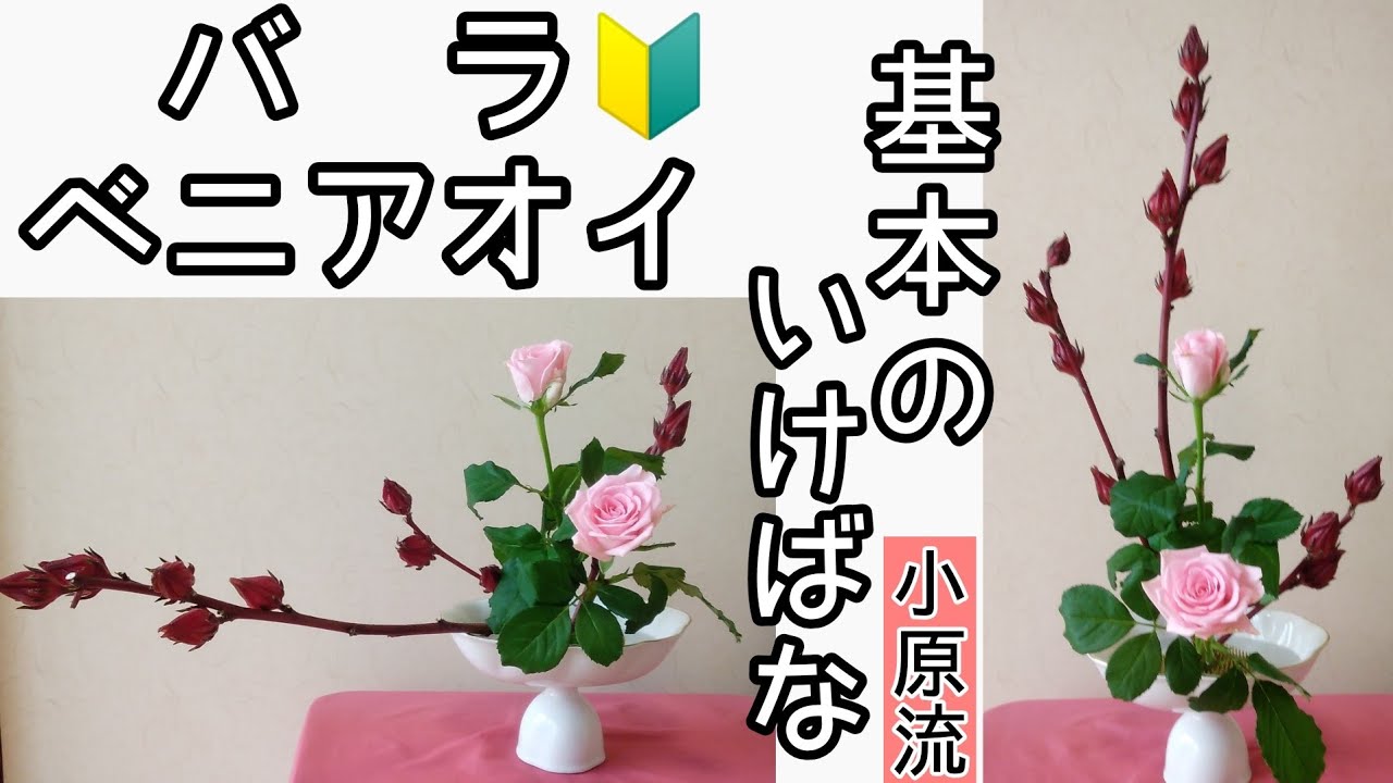🔰基本の生け花　いけばな小原流　花意匠　たてるかたち　かたむけるかたち　盛花　バラ　ベニアオイ　薔薇　始めよういけばな　レッスン！