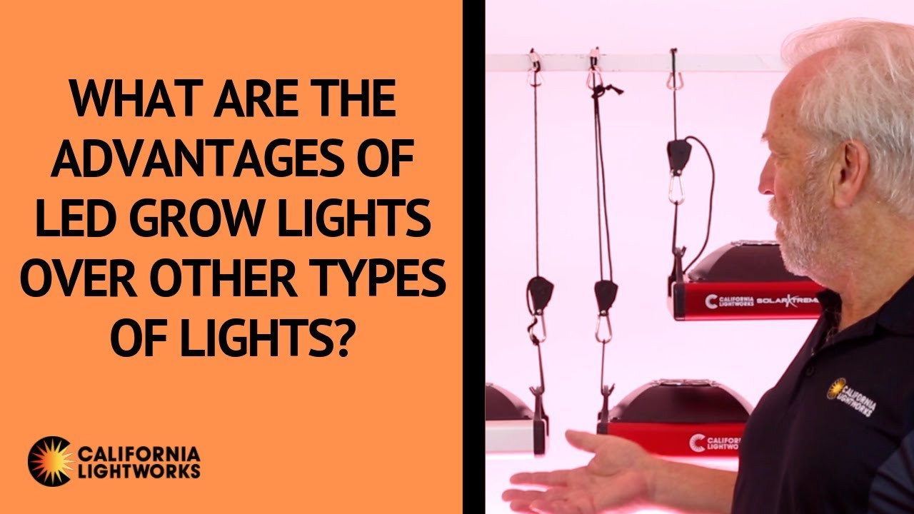 What are the advantages of LED grow lights over other types of lights? - FAQ