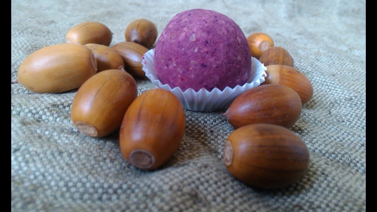 Жёлуди. Заготовка и приготовление различных блюд и напитков из желудей. Анонс!