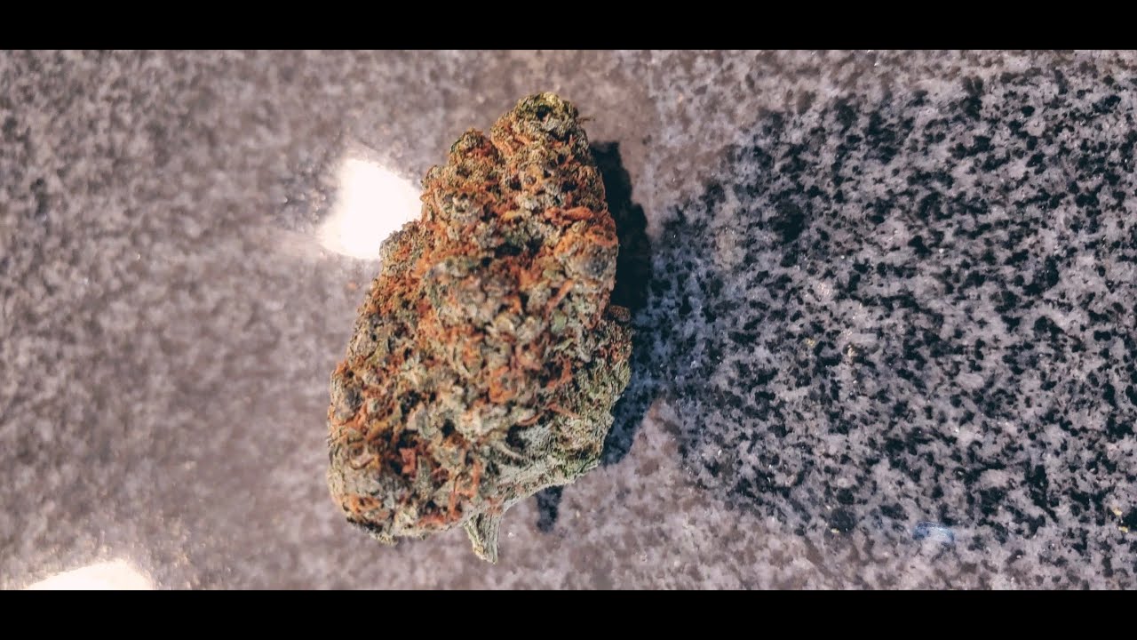 Blueberry Blast Strain Review
