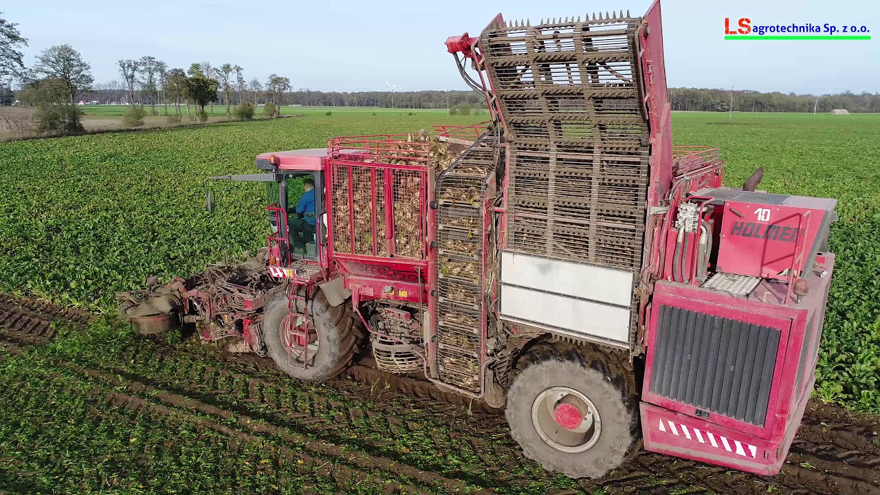 Zbiór buraka cukrowego Lehmann Agrotechnika 2019