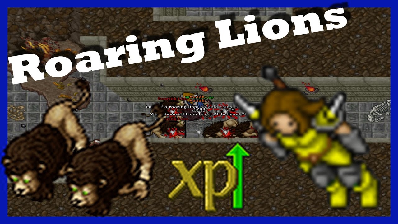 Best exp for knights | Lion's Rock 50+