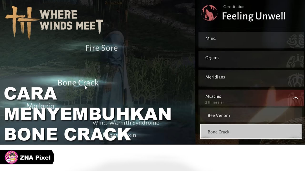 CARA MENYEMBUHKAN BONE CRACK DI WHERE WINDS MEET INDONESIA | BONES CRACK