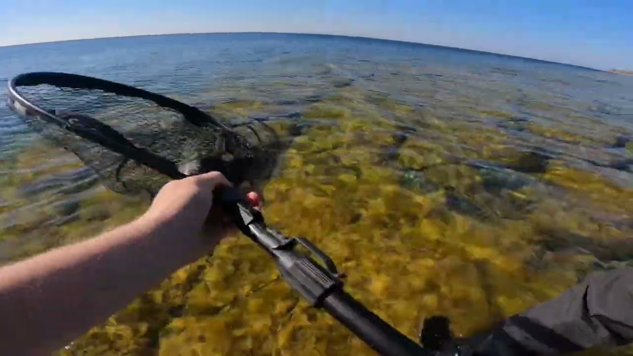 Dream Catch! A Giant Sea Trout from Eastern Sweden