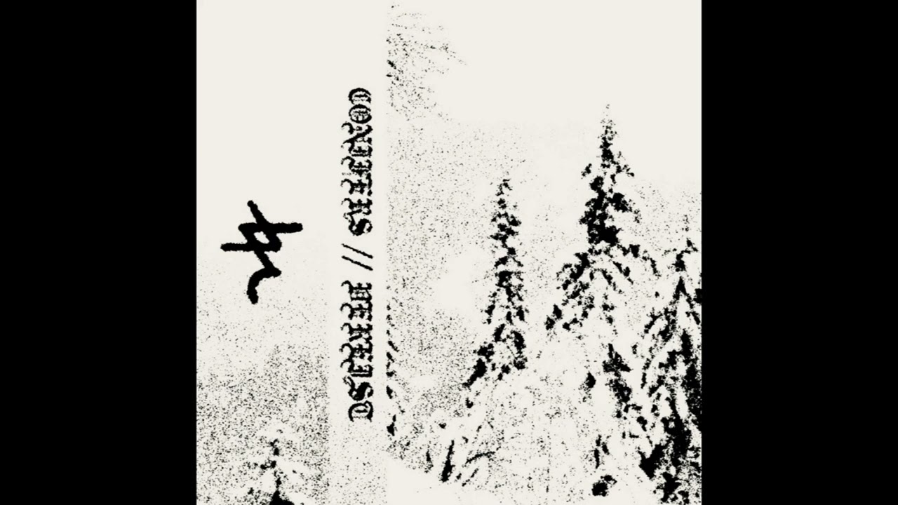 Conifers / Vereist (France) &mdash; S/T &mdash; 2023 split