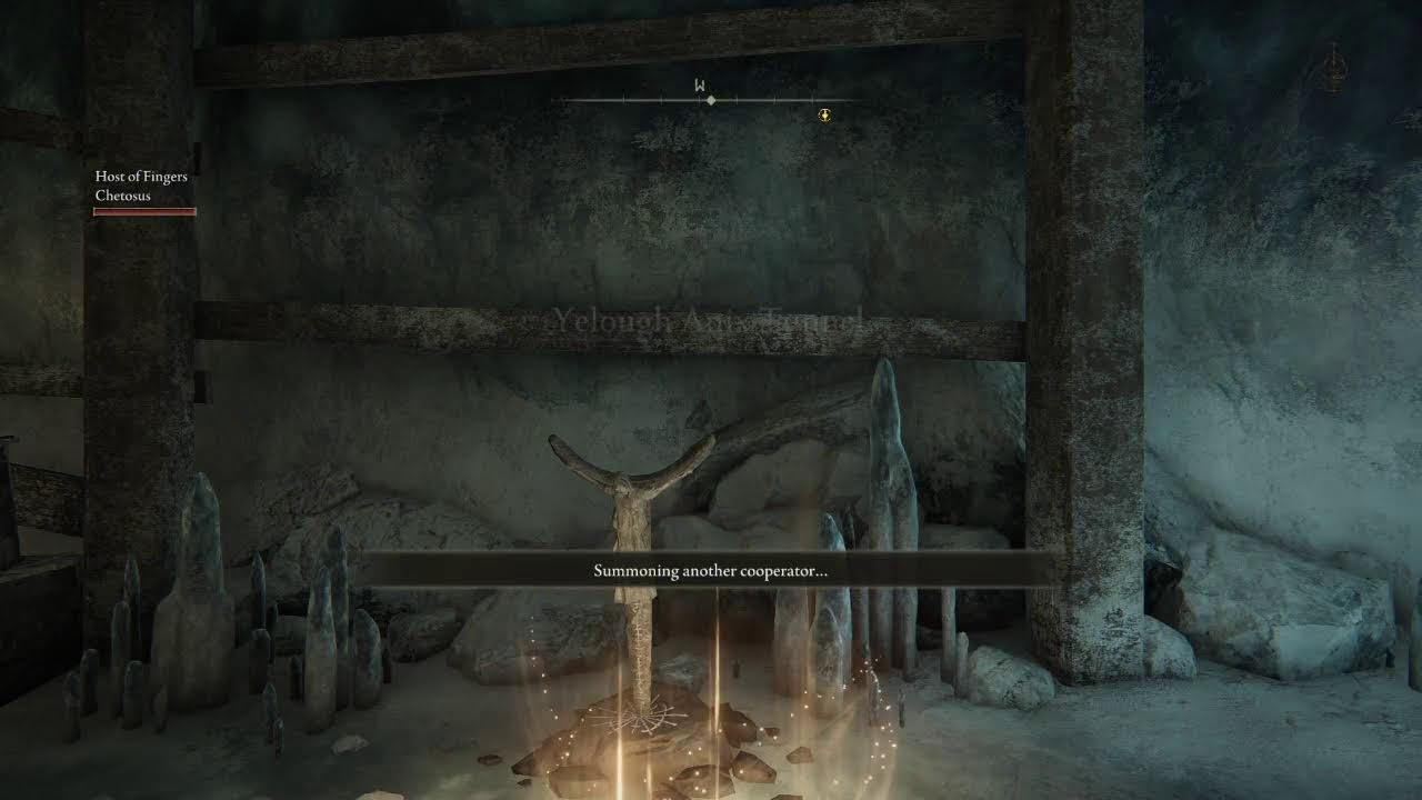 Elden Ring PVP - PVE  No Voice Chat