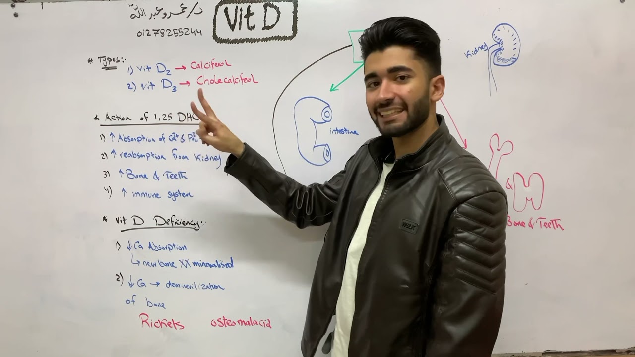Ca Homeostasis 1 | Vitamin D