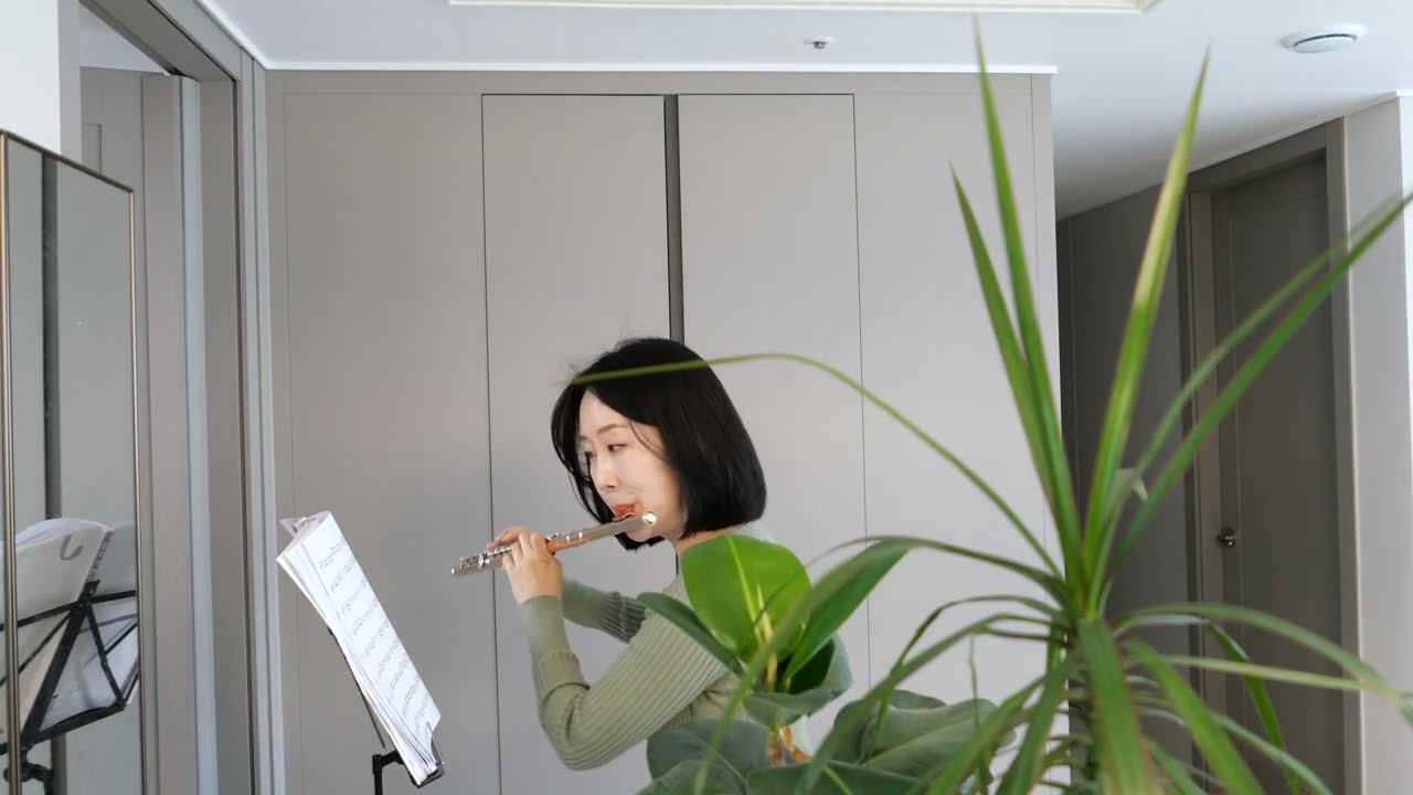 Eine Kleine Nachtmusik  아이네클라이네 나흐트무지크