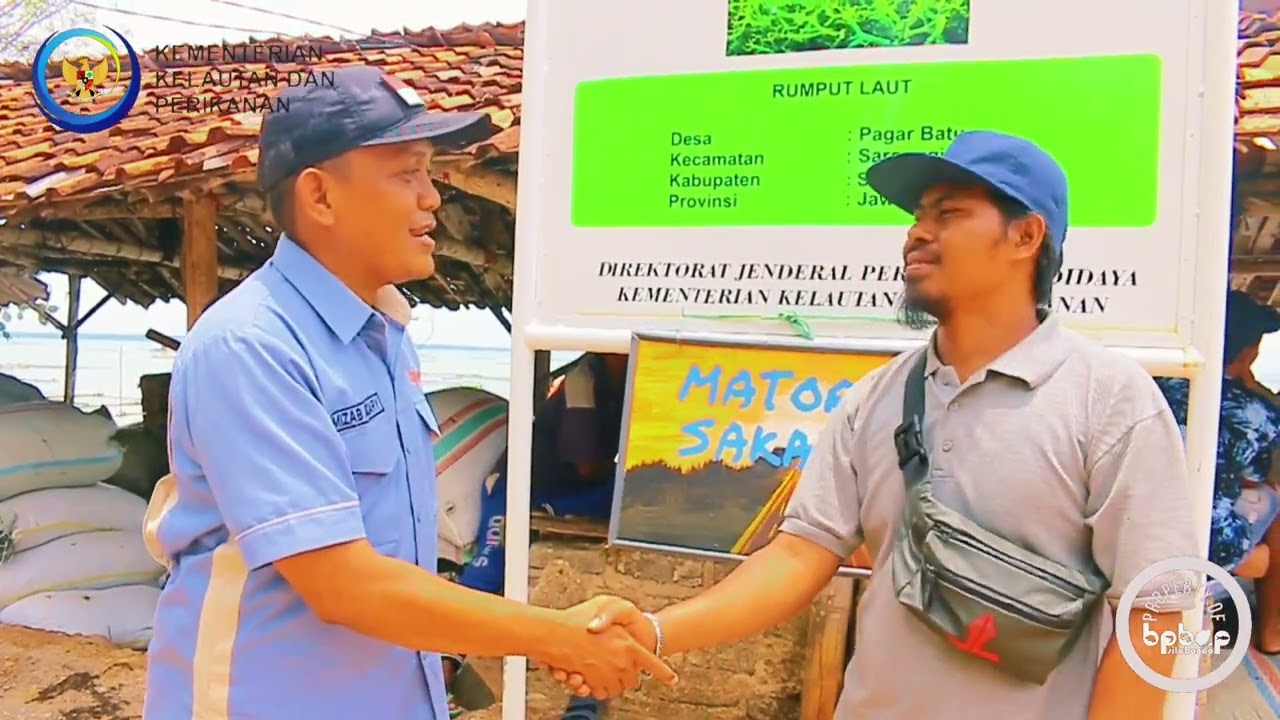 KAMPUNG PERIKANAN BUDIDAYA RUMPUT LAUT DI KABUPATEN SUMENEP MADURA