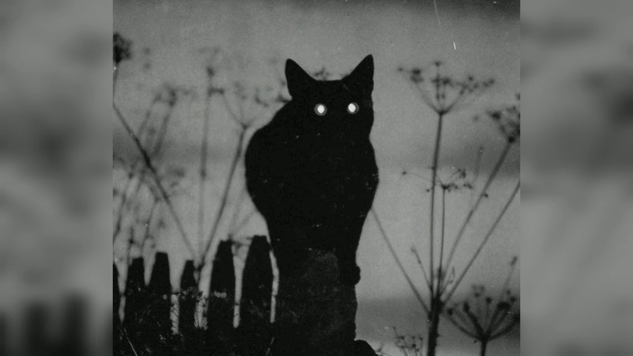 【Jacob Tillberg - Ghosts】slowed + reverb (edit ver.)