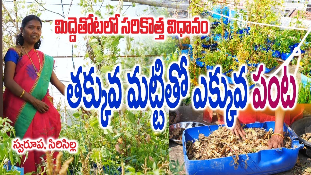Innovative Terrace Gardening With Less Soil & Low Weight on Roof | Swaroopa-Siricilla | Rythunestham