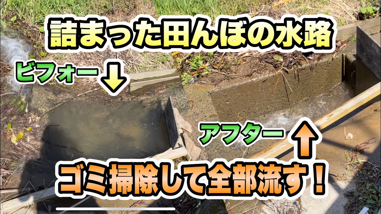 【田んぼ】詰まった水路のゴミを取って流れを良くする！その1！