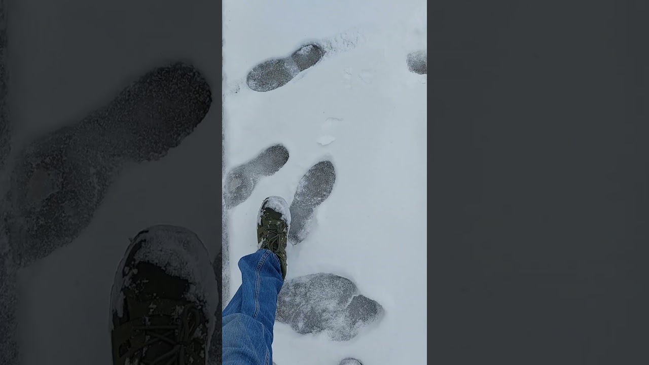 Snow Dessert 