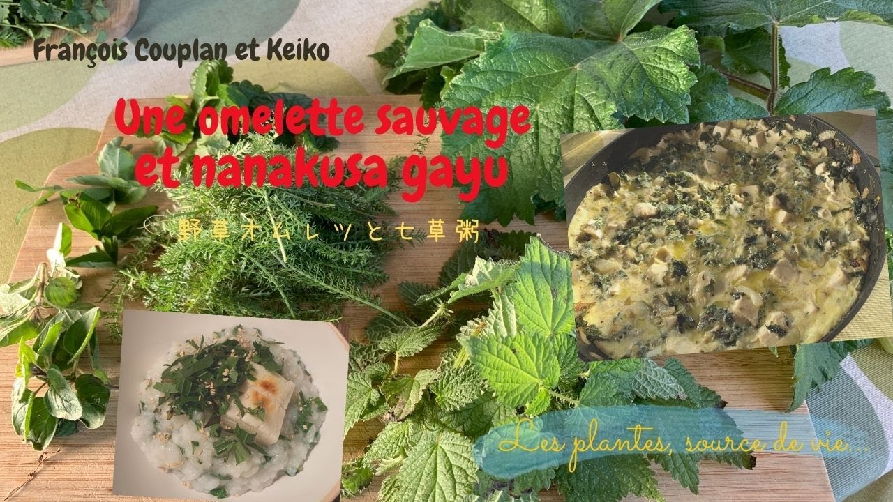 La cueillette sauvage en janvier ! #2- omelette et nanakusa gayu １月の野草摘み /野草オムレツと七草粥