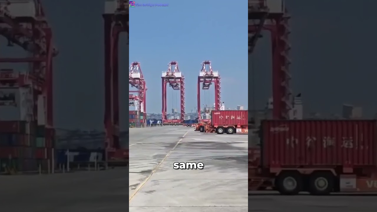 This Chinese port doesn't need people! 🤖🚢 AI in logistics