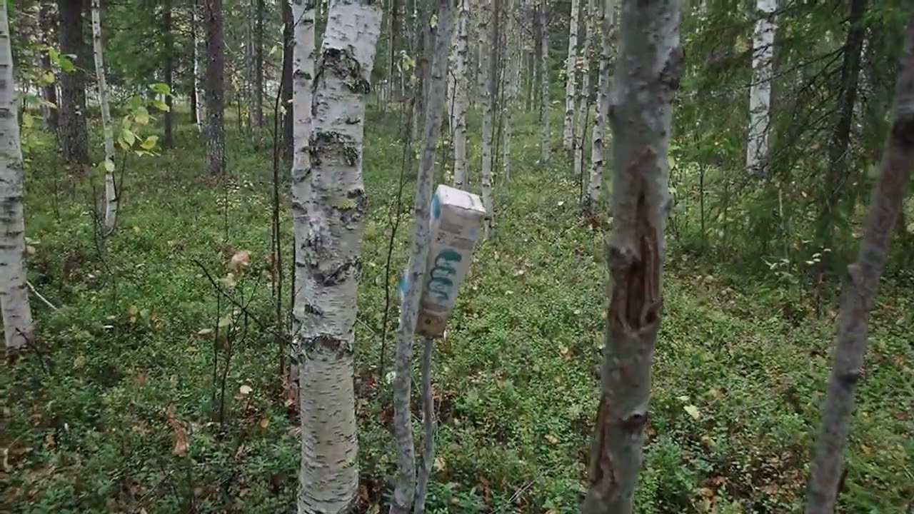 Suvantokumpu, eli western 17. 9. 2025. Tämä on kivipolku. P9160421okyoutub