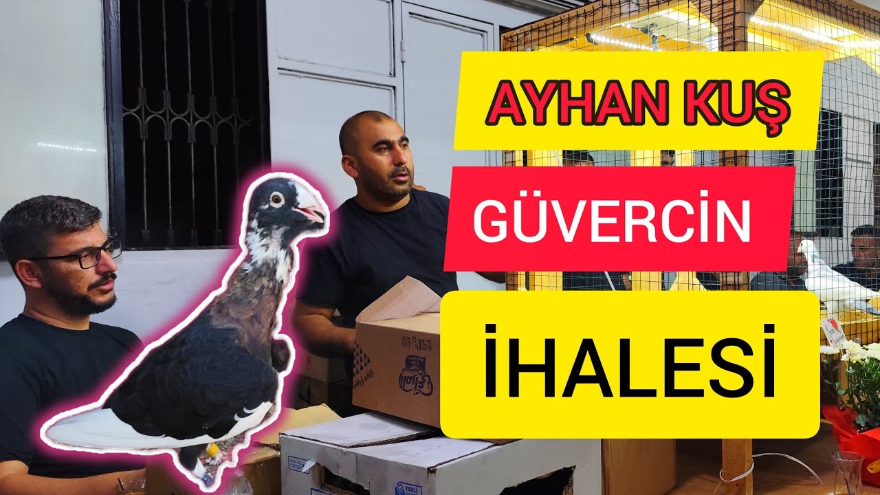 ADANA GÜVERCİN İHALESİ BÖLÜM.1 - AYHAN KUŞ