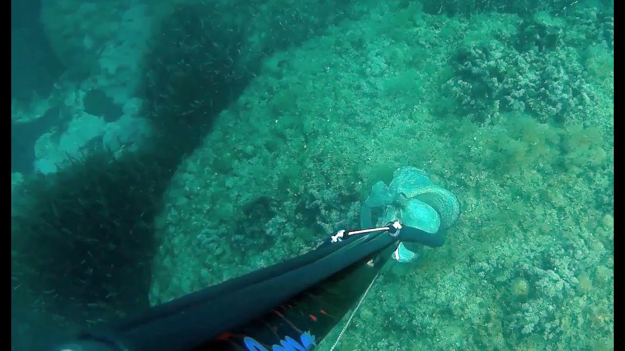 Ψαροντούφεκο στη Λήμνο 2025