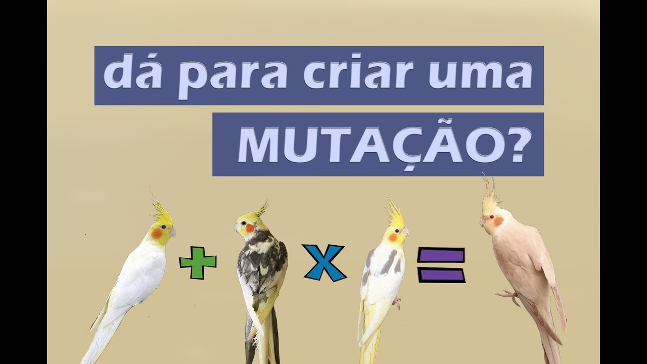 Será que é possível criar uma mutação em casa apenas cruzando outras mutações?