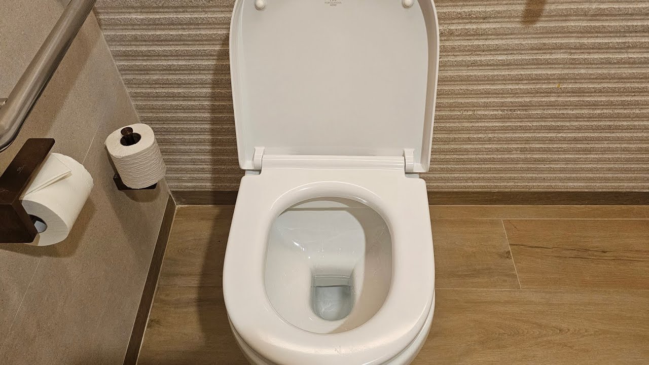 ITR #1: The NK (Noken) Porcelanosa NK Sani Toilet: A Predictably Bad Wall Mounted Washdown Toilet