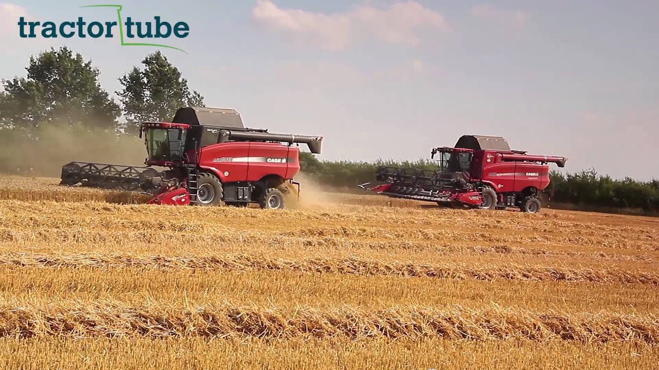 Case 8010 AFX und Case AFS 8010 M&auml;hdrescher im Weizen. Ernte 2013