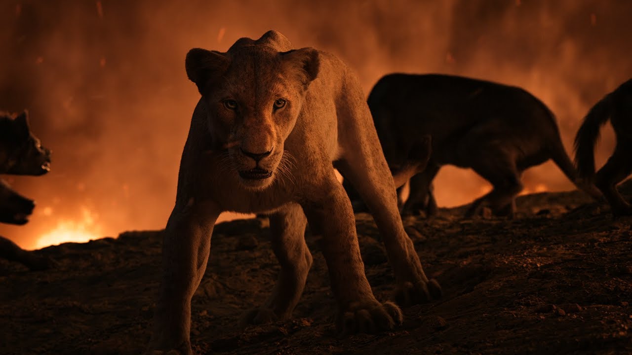 The Lion King 2019 - Fighting The Hyenas Scene I 4K Ultra HD